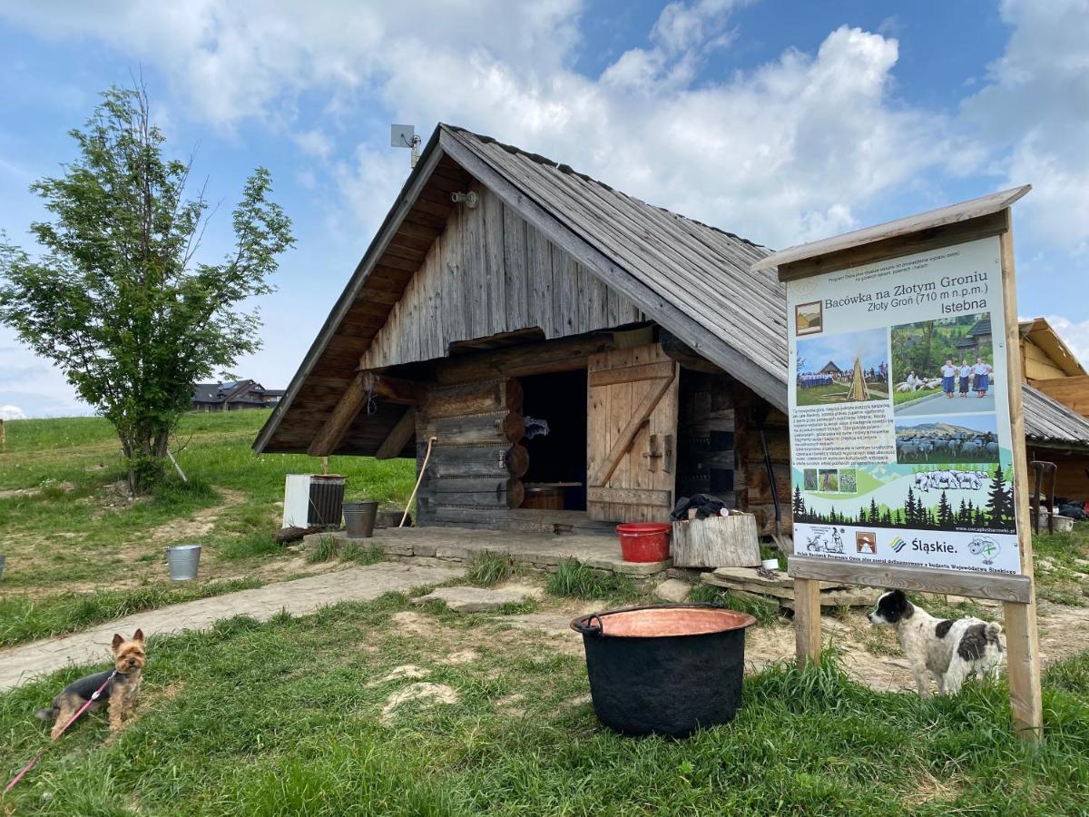 Zloty Gron Log Houses & Apartments 이스테브나 외부 사진