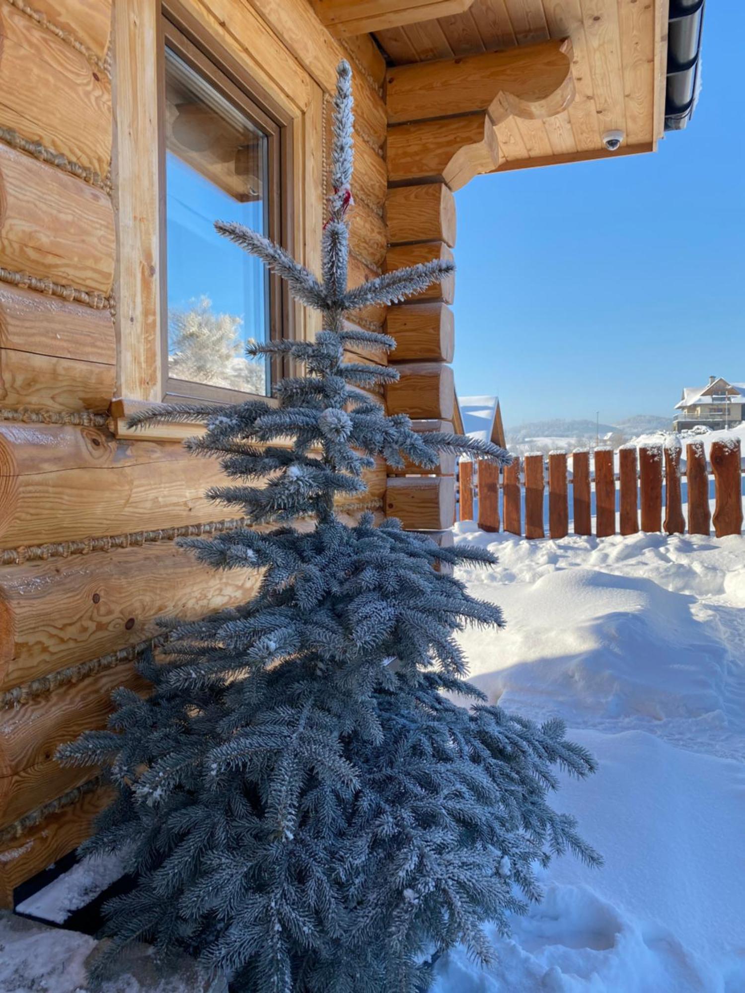 Zloty Gron Log Houses & Apartments 이스테브나 외부 사진